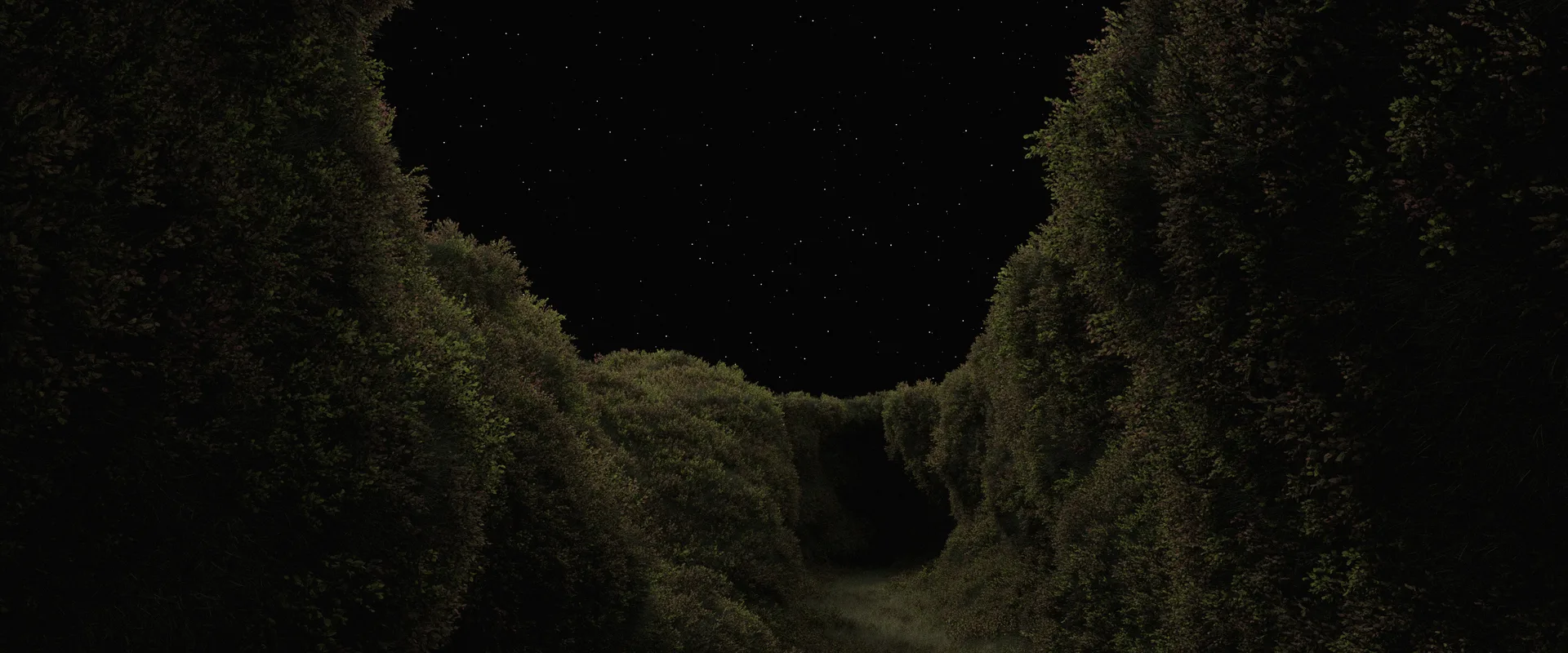 Where the Maw opens wide, exposing the night sky