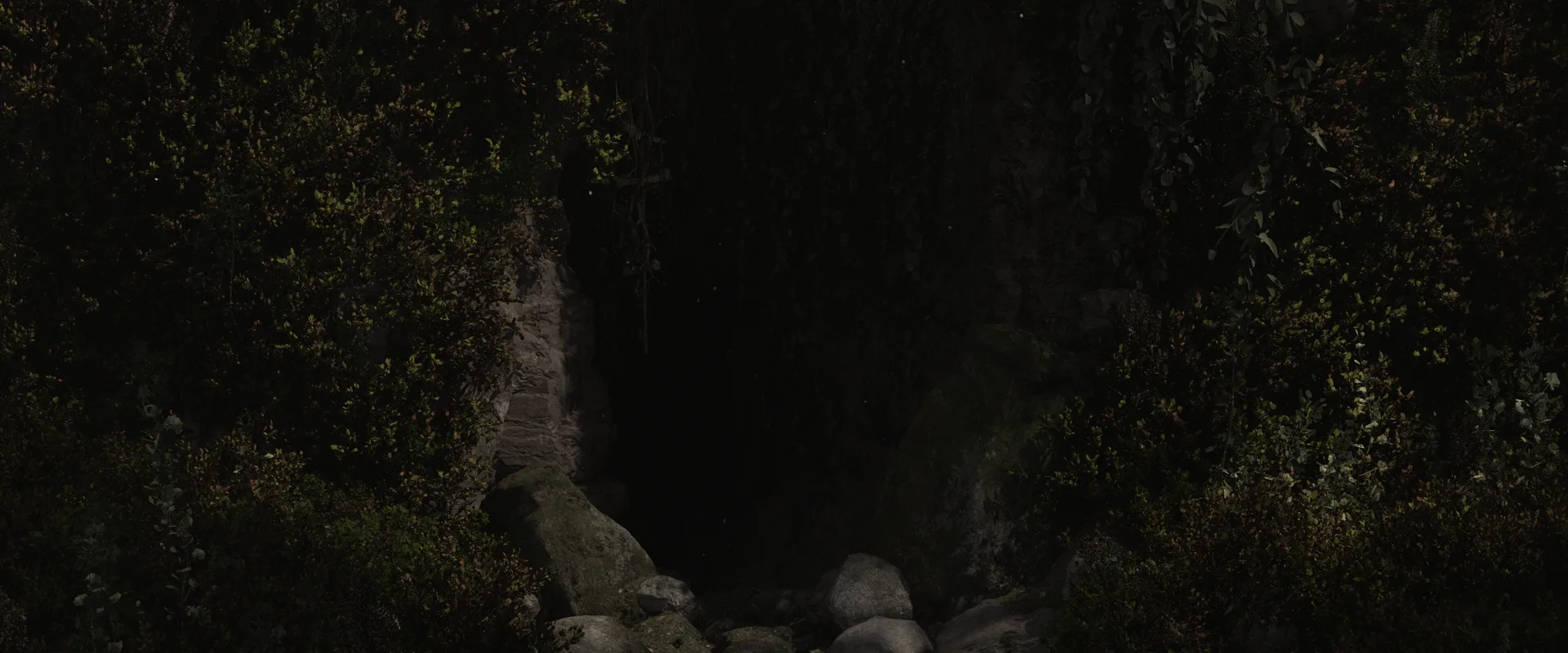 The dark mouth of the Maw